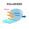 POLARIZED