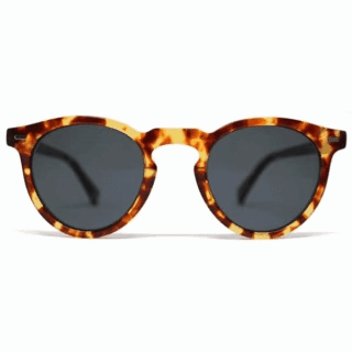 Pantoglasses-Win exciting Giveaways